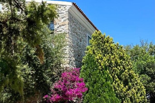 Exterior detail - Villa Maria Cristina - Double/Double Room with Terrace (Santa Teresa Gallura)