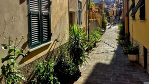 Una estrecha calle adoquinada flanqueada por edificios, con macetas a lo largo del camino y una torre del reloj a lo lejos.
