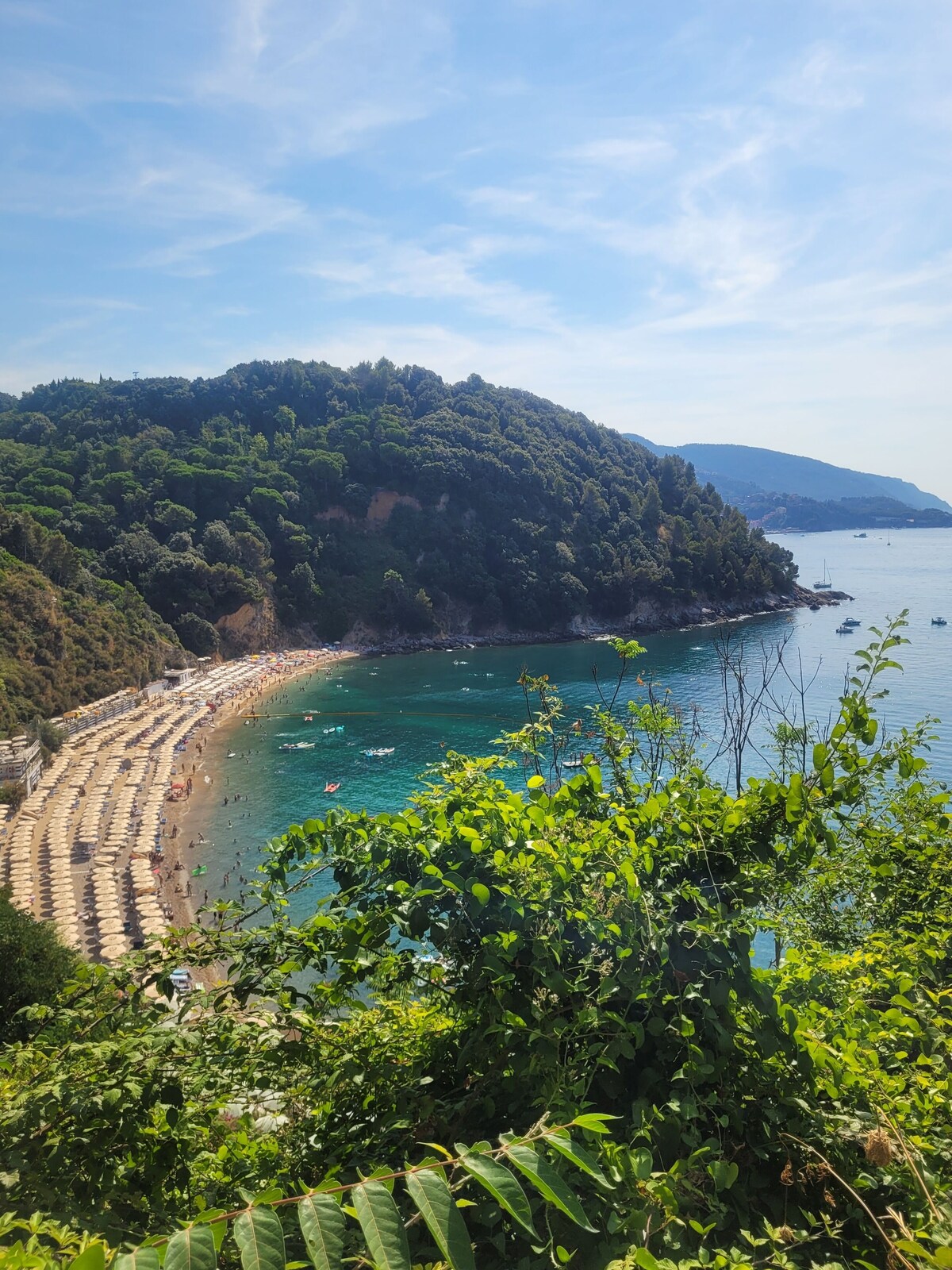 オーナーのプロフィール画像