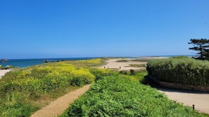 Plage à proximité