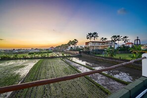 Vila Basic | Halaman properti