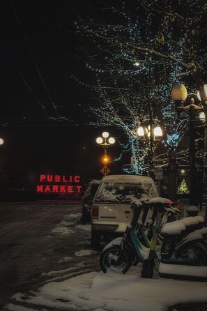 Property grounds - Travelers Dream-Steps to Space Needle- Shared Backyard (Seattle)