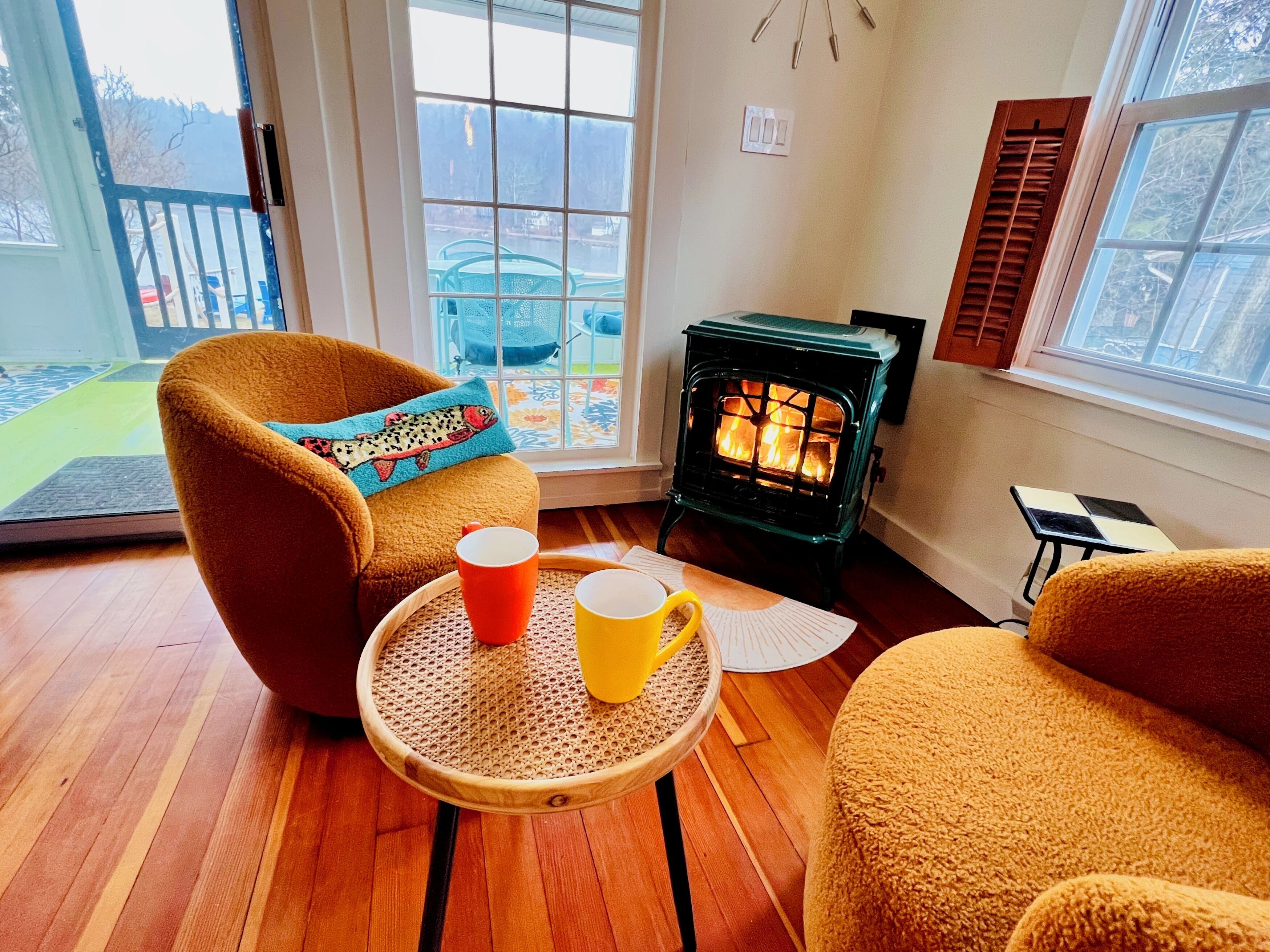 Smart TV, fireplace, books, music library