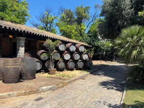 Overnatningsstedets område