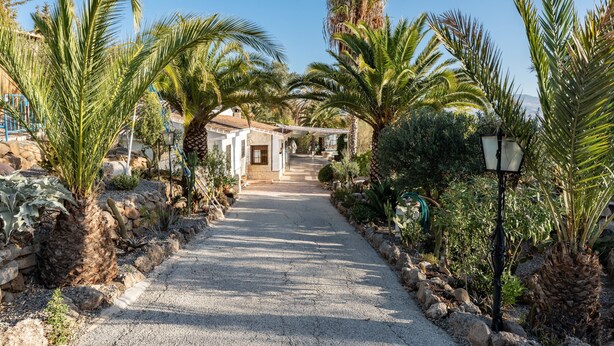 A pathway leading to a building with a stone facade, surrounded by palm trees and cacti. - Country House 'Casa Rural Salrima' with Mountain View, Wi-Fi and Air Conditioning (Alora)