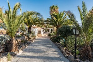 Un chemin menant à un bâtiment à la façade en pierre, entouré de palmiers et de cactus.