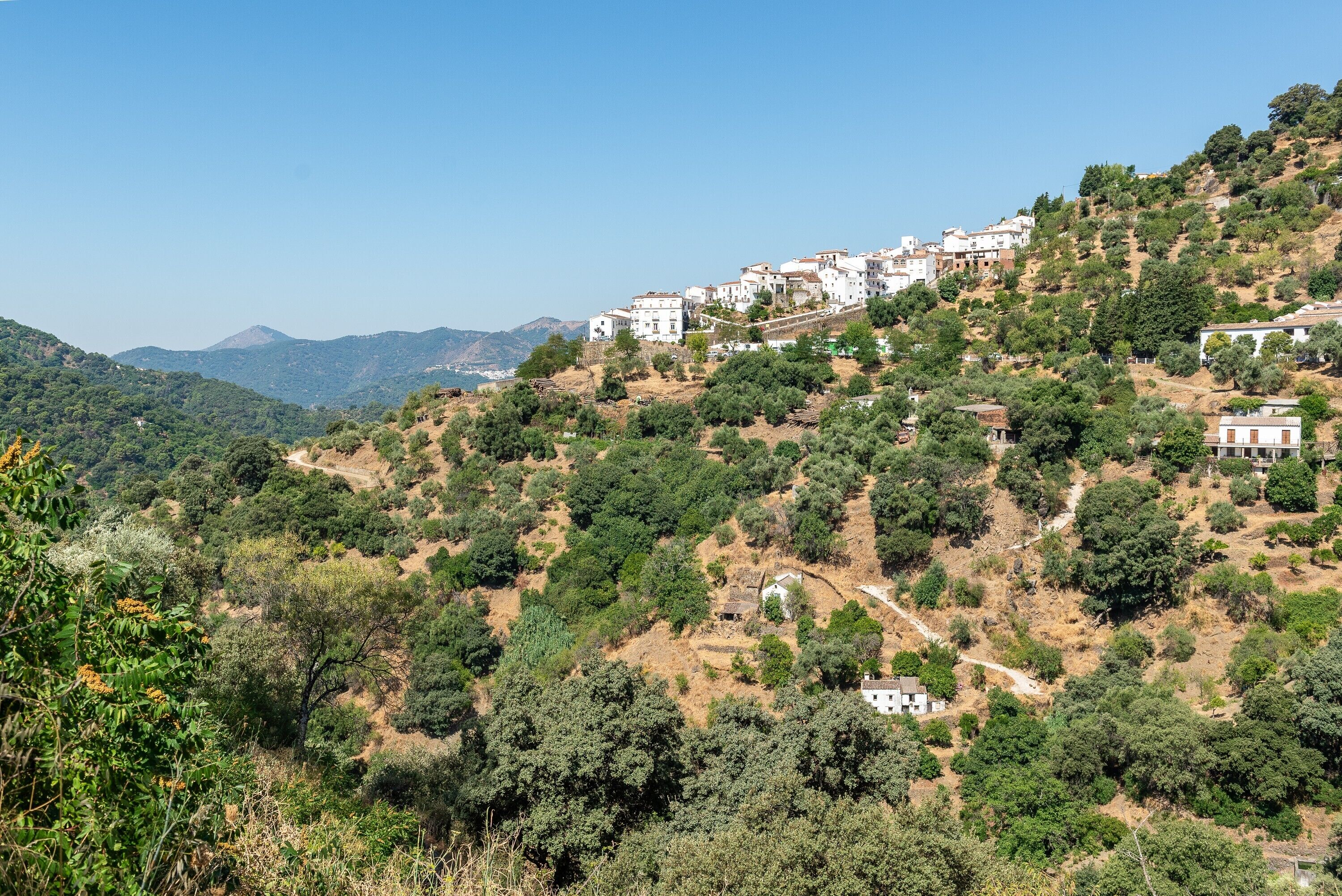 A hillside village with white buildings, dense greenery, and a clear sky.