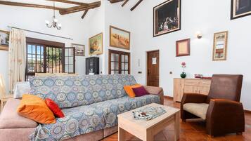 Televisor i llar de foc