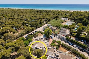 An aerial view of a coastal area with dense greenery, a beach, and a building with a rooftop terrace circled.