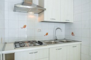 Fridge, stovetop, cookware/dishes/utensils