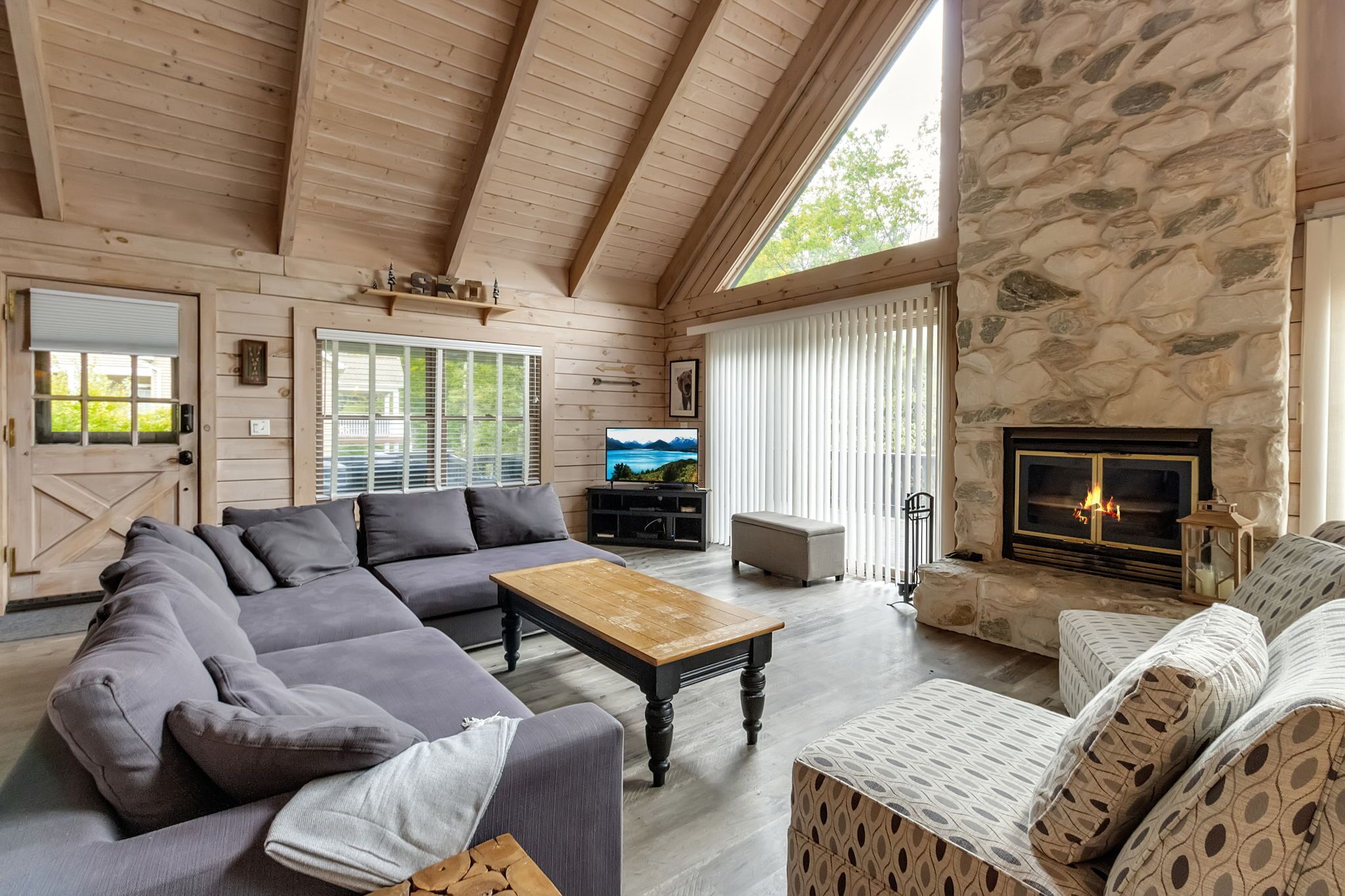 Televisión y chimenea 