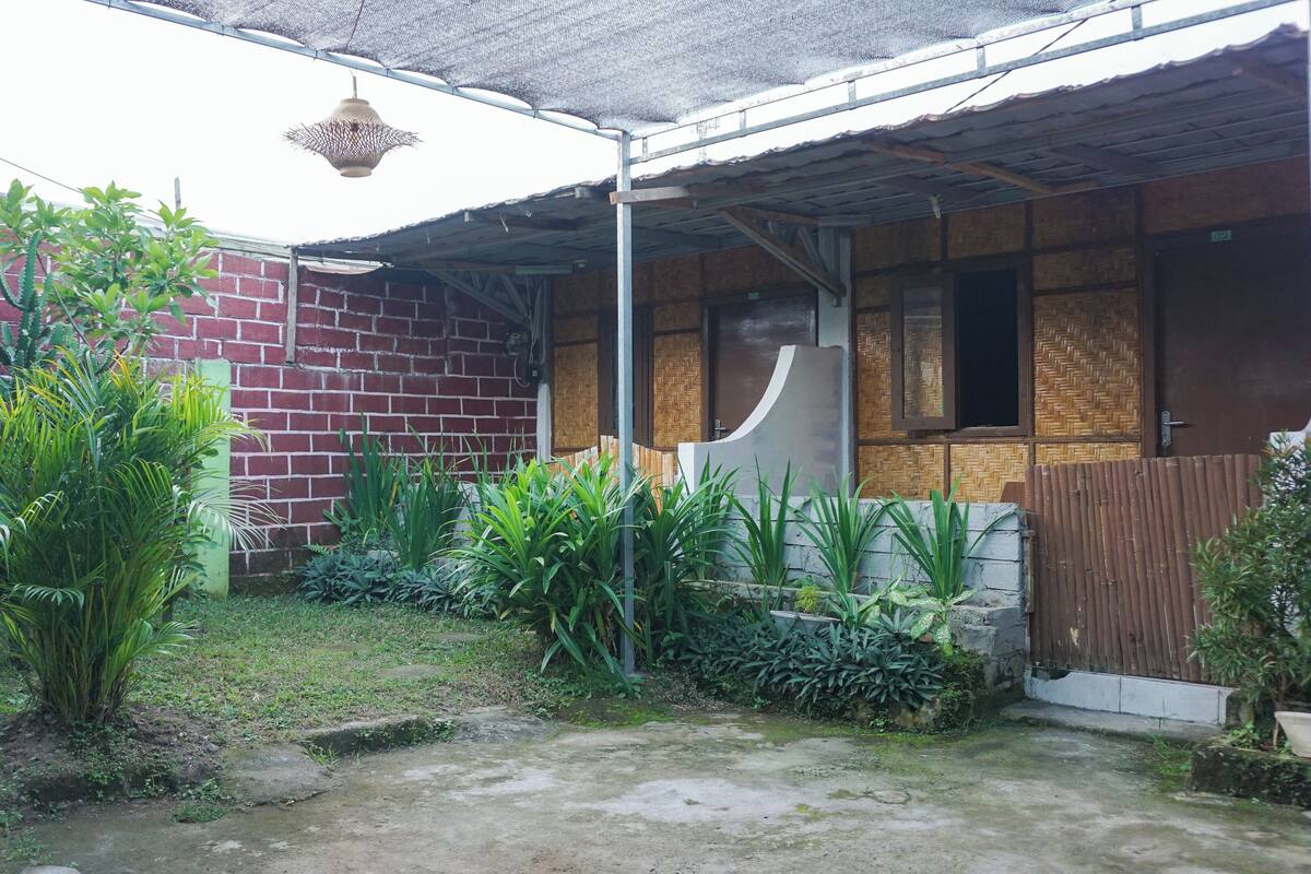 A covered outdoor area with a brick wall, a wooden door, and various plants.