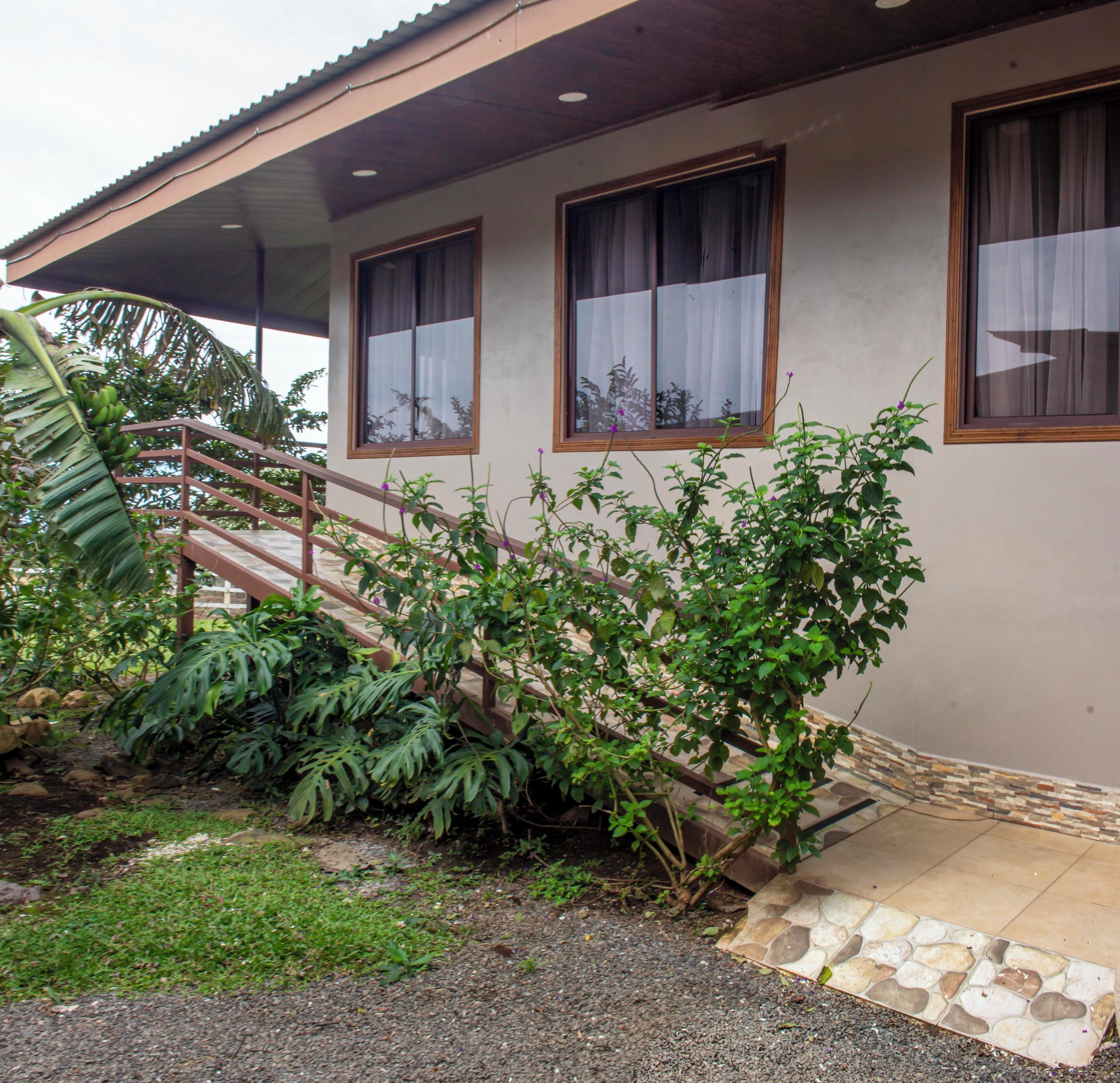 A house with a covered porch, a stone pathway, and lush greenery including banana plants and ferns.