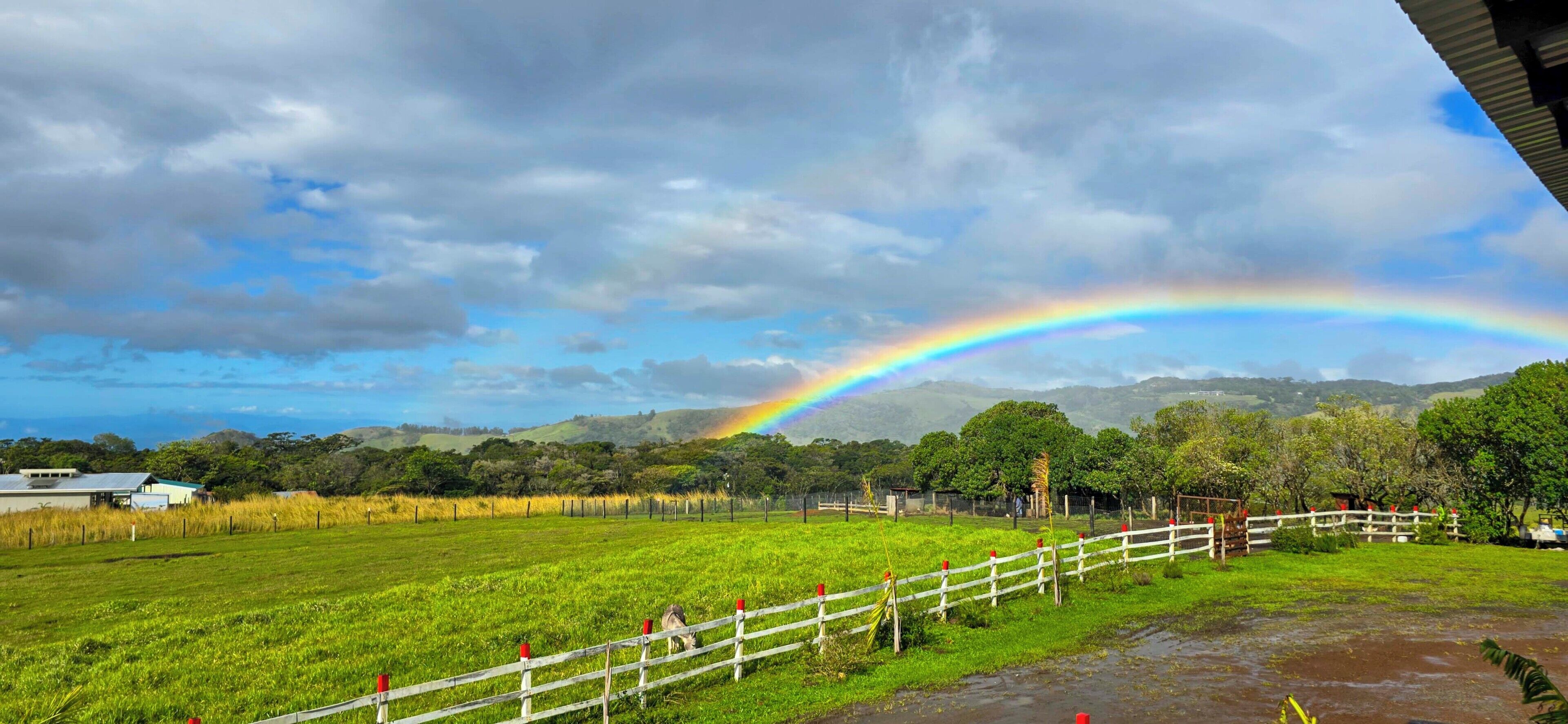 A rural landscape with a rainbow, green fields, and a white fence.