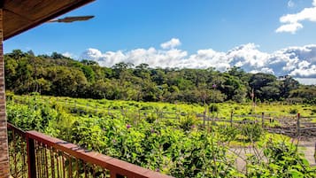 Standard Double Room, Garden View | Balcony view