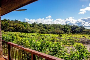 标准双人房, 花园景观 | 阳台景观