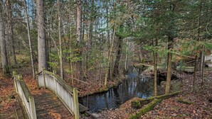 Un puente de madera sobre un arroyo en un área boscosa, con pasarela de madera y cerca de metal.