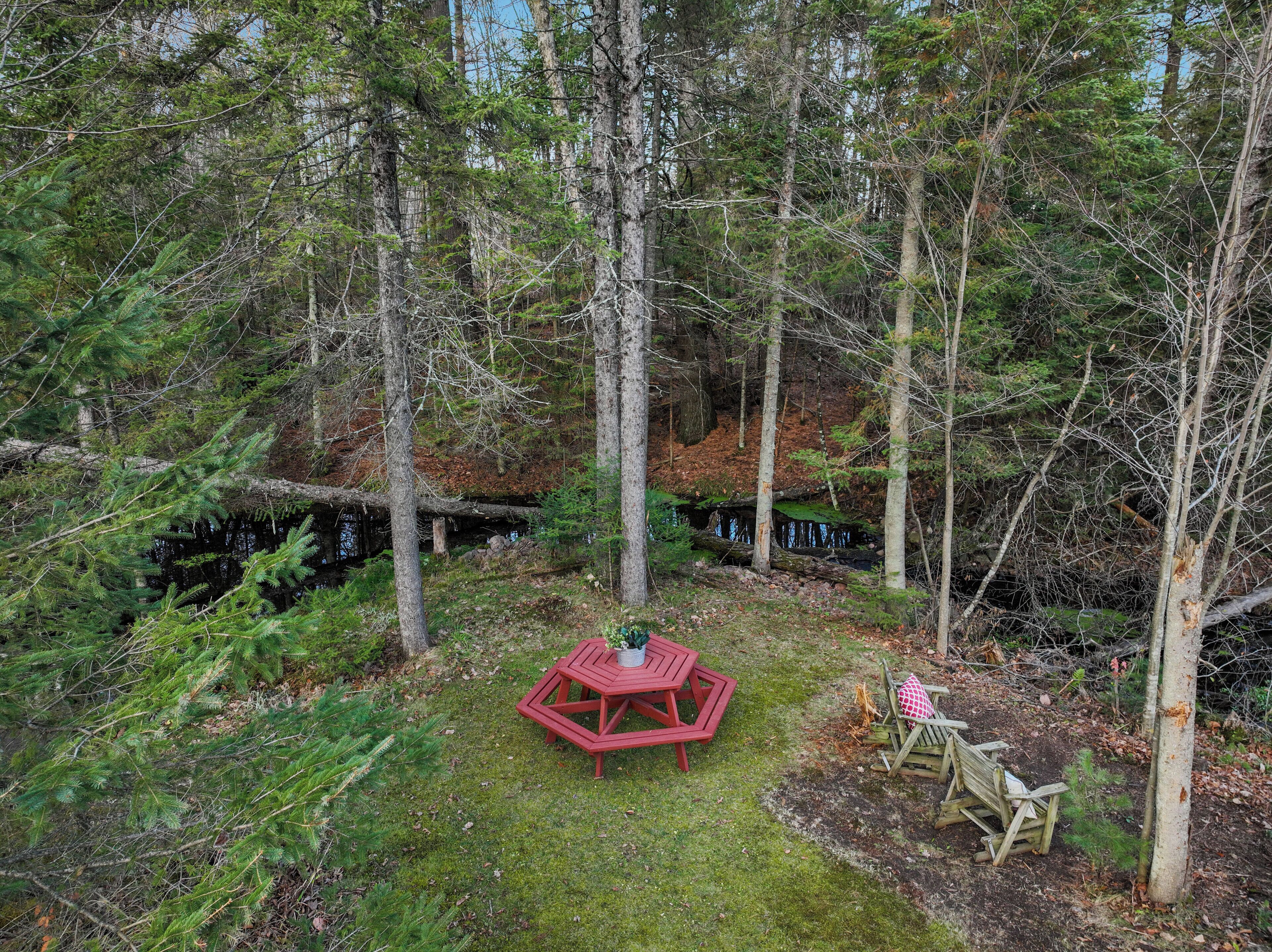 A forested area with a red picnic table and a bench.