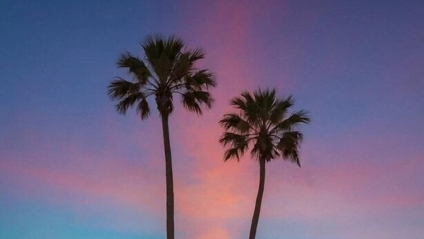 شاطئ