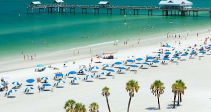 Cozy Tampa Home with Large Heated Pool