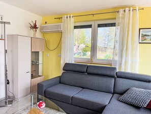 Televisor 