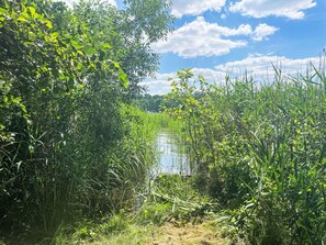 A natural landscape with dense foliage and a water body.