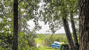 A natural landscape with trees and a blue container in the background. - am Pälitzsee by Interhome (Rheinsberg)