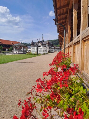 Apartment Seeblick,Ihr einzigartiger Aufenthalt direkt am Bad Salzunger Burgsee