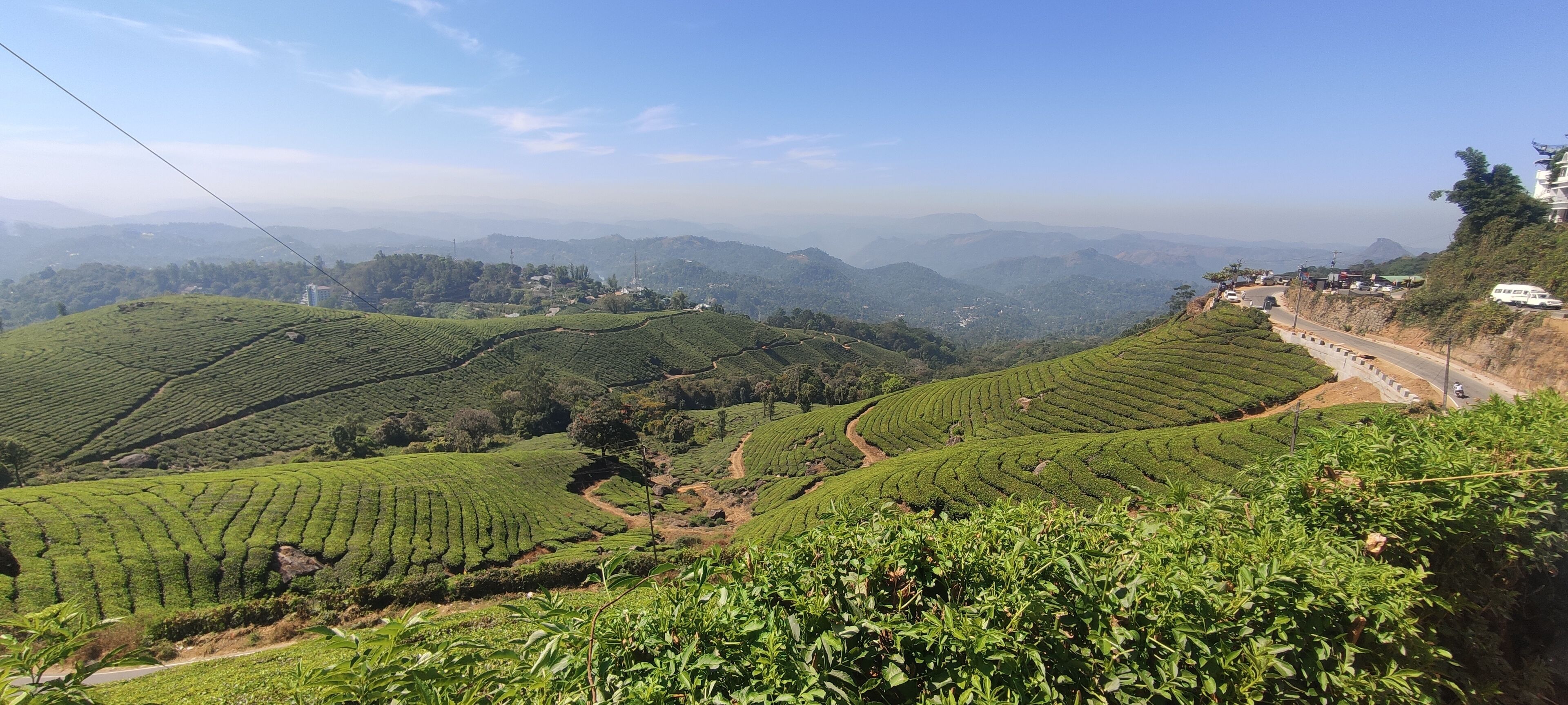 A hilly landscape with terraced tea plantations and a winding road.