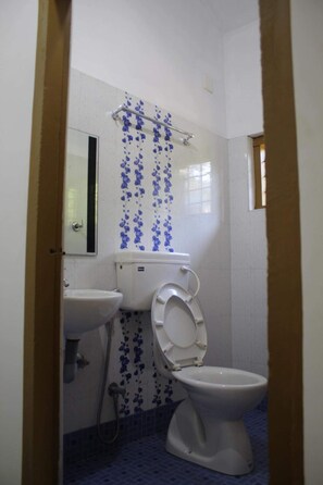 Shower, bidet, towels, soap