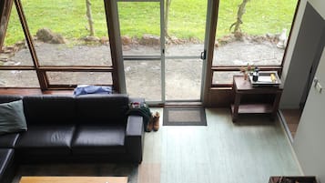 TV, fireplace, video games, DVD player