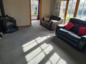 Televisor, videojocs, reproductor de DVD i llibres 