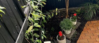 Stylish & Elegant 2BR Townhouse in Wilston, Brisbane