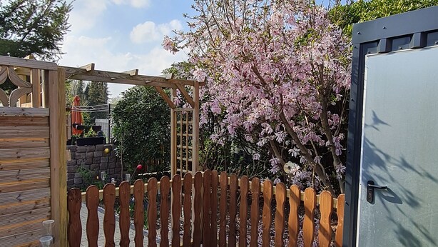 Puinen aita, pergola ja kirsikkapuu – tässä on viehättävä puutarha.