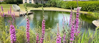 Morning Glory: Huisje Forest. Stijlvolle en Luxe Accommodatie