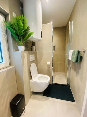 Shower, hair dryer, towels