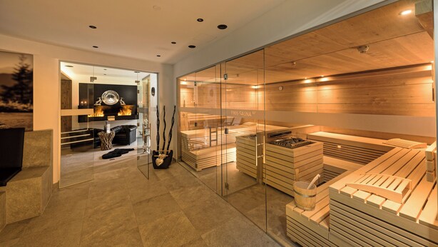 Sauna seca, sauna a vapor