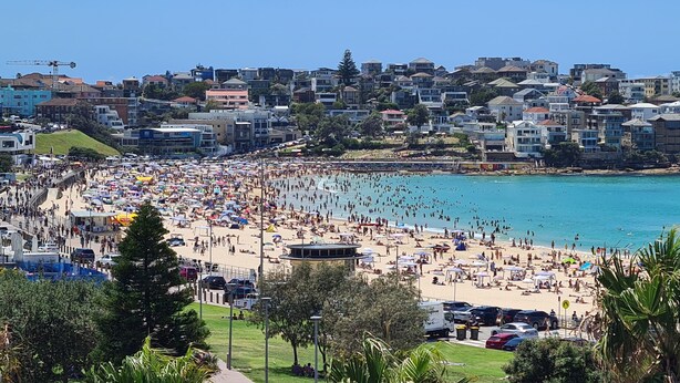 Une plage bondée, avec de nombreux parasols et des gens qui profitent du soleil.