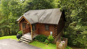 A log cabin with a porch, surrounded by dense forest.