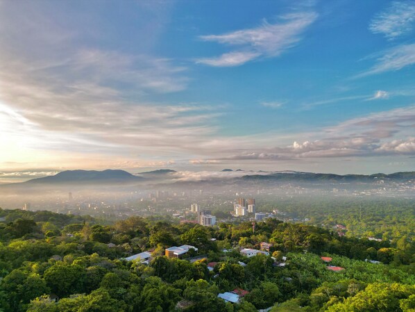 Vista panorámica de una ciudad con abundante vegetación en primer plano y un cielo despejado.