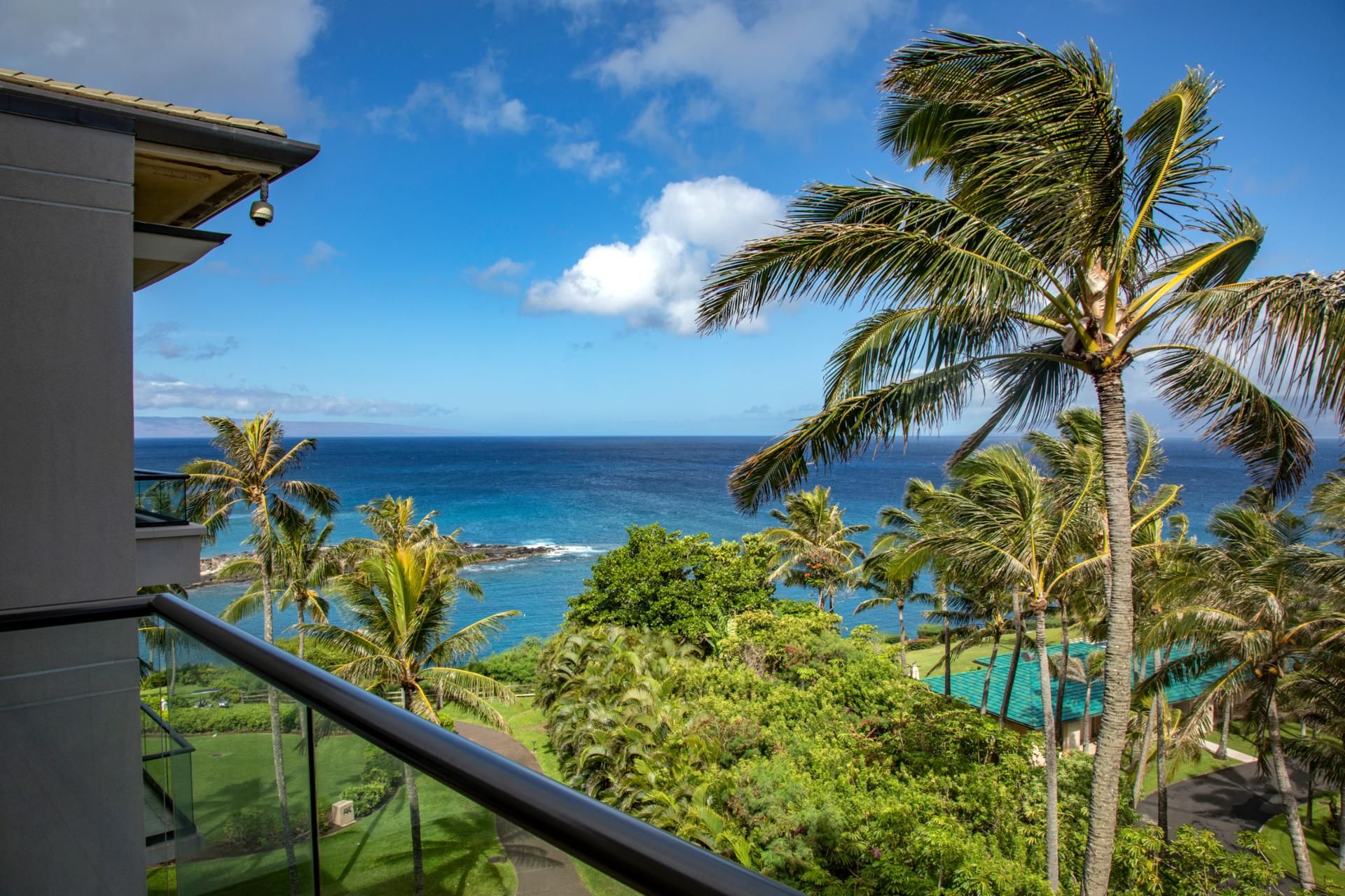 Vista desde un balcón sobre un paisaje tropical con palmeras y cielo azul despejado.