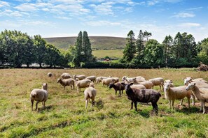 Miscellaneous - 1 Bed in Withypool (oc-s29887) (Withypool)