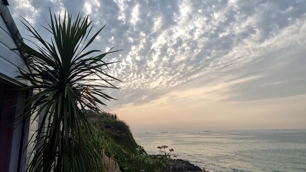 A coastal view with a wooden fence, a palm tree, and a beach in the distance. - La Bayeuzen - Cabane Balnéo Panoramic sea view - Normandie Arromanches (Saint-Côme-de-Fresné)