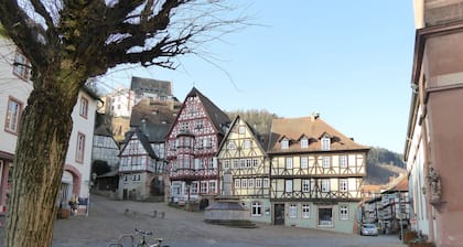 Charming apartment in the Rhine-Main-Region