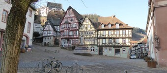 Charming apartment in the Rhine-Main-Region