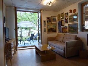 Télévision, cheminée, livres