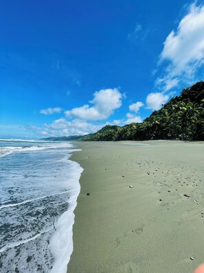 Beach - Casa Carate : Simple, Sustainable, Near Corcovado National Park in Carate!  (Provincia de Puntarenas)