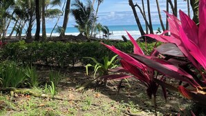 Une plage tropicale, avec une végétation luxuriante et des palmiers.