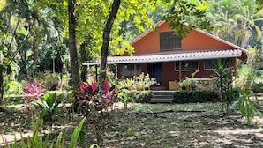 Une maison entourée d’une végétation luxuriante et dotée d’un jardin où poussent différentes espèces de plantes.