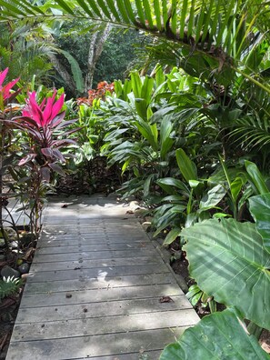 Property grounds - Casa Carate : Simple, Sustainable, Near Corcovado National Park in Carate!  (Provincia de Puntarenas)